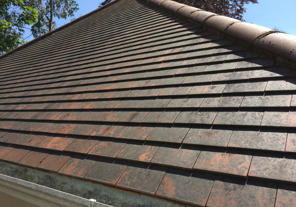 Before Roof Cleaning