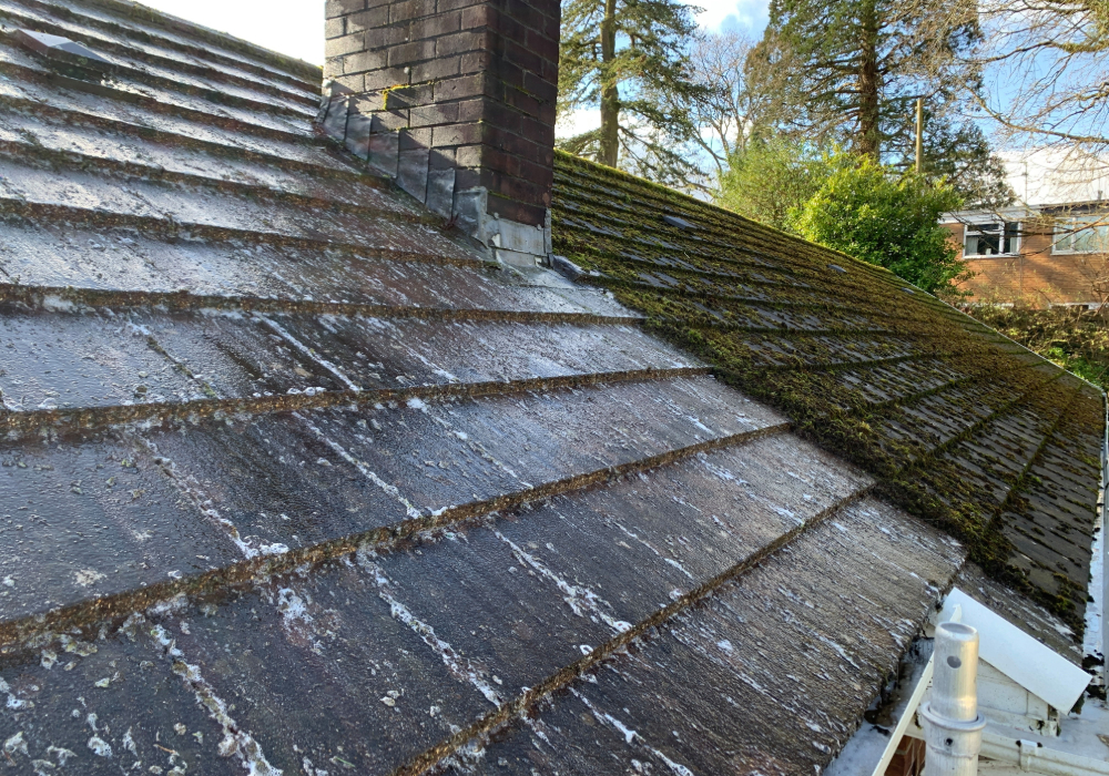 After Roof Cleaning