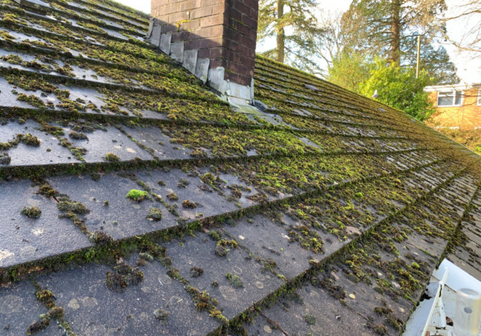 Before Roof Cleaning